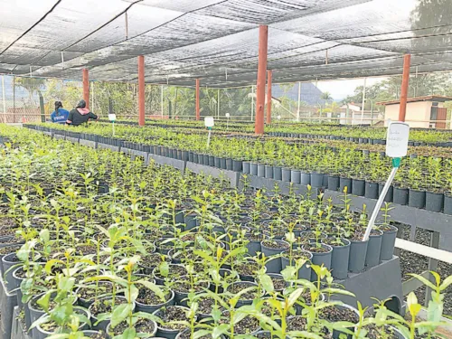 
          Imagem ilustrativa da imagem Sustentabilidade para inovar e transformar a mineração
          