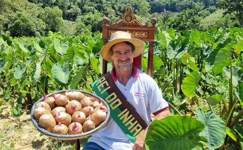 
          Imagem ilustrativa da imagem Tecnologias ampliam produção de inhame no Espírito Santo
          