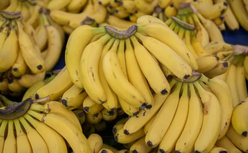 
          Imagem ilustrativa da imagem Variação do preço da banana-prata chega a mais de 400% em Vitória
          