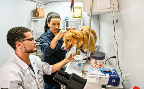 
          Imagem ilustrativa da imagem Vitória abre seleção para engenheiros e médico veterinário; veja detalhes
          