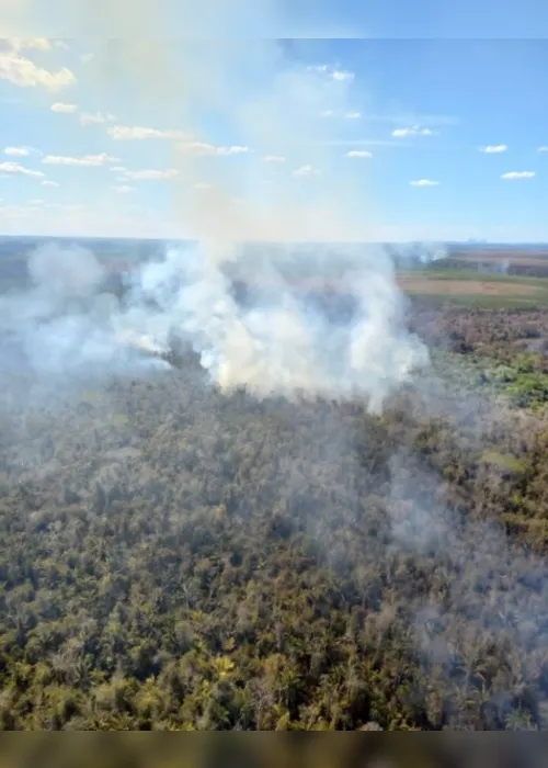 Imagem ilustrativa da imagem Ação humana provoca 90% dos incêndios florestais
