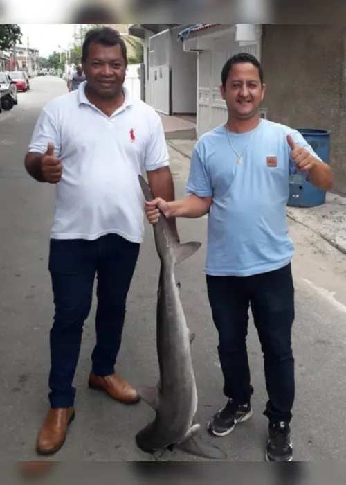 Imagem ilustrativa da imagem Capital do Atum, Itapemirim busca mercados no México e Índia para venda de pescado