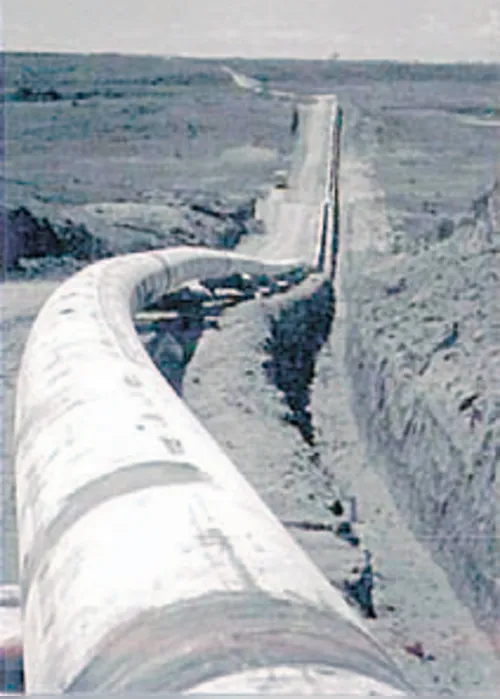 Imagem ilustrativa da imagem Mobilização estratégica garantiu apoio às famílias