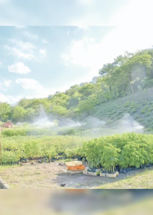 Imagem ilustrativa da imagem Novo Acordo prevê R$ 170 bilhões