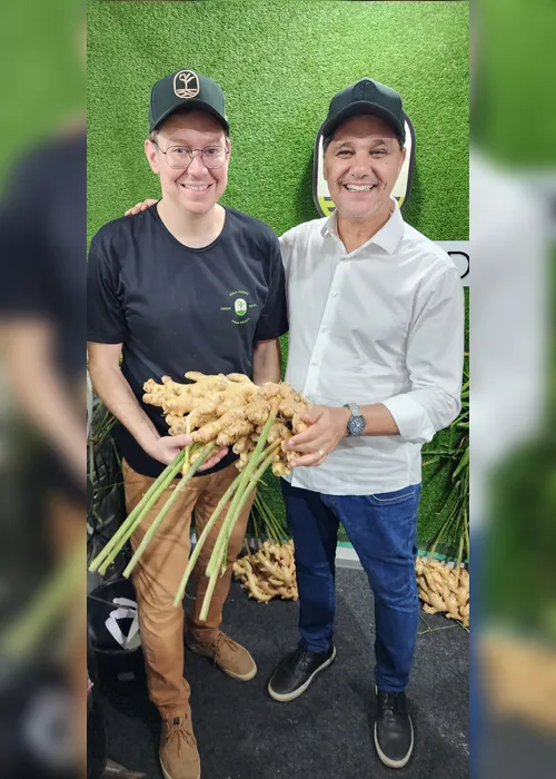 Imagem ilustrativa da imagem Pequenos negócios se destacam no ES