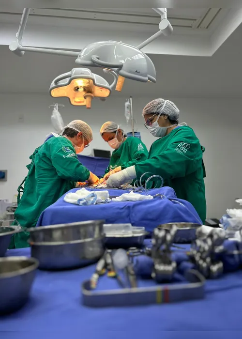 Imagem ilustrativa da imagem Pernambuco lidera em transplante renal e é segundo lugar em transplante cardíaco