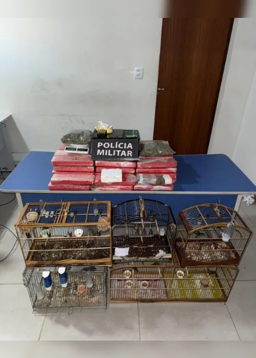 Imagem ilustrativa da imagem Polícia apreende drogas escondidas em geladeiras no Norte do ES