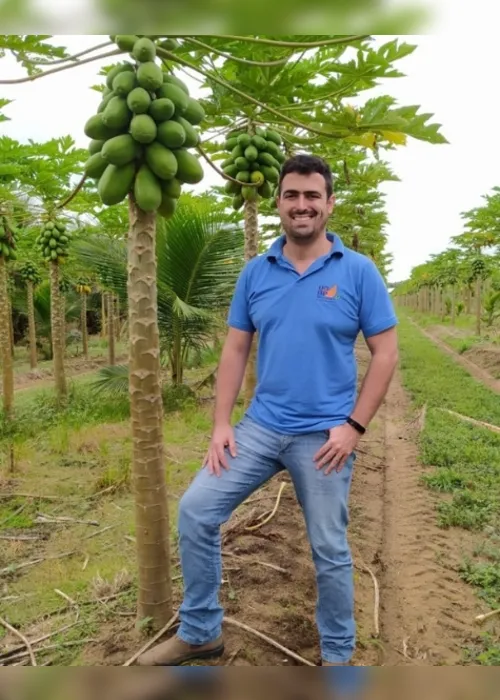 Imagem ilustrativa da imagem Produtores usam cera para preservar mamão para aumentar a durabilidade