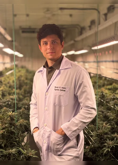 Imagem ilustrativa da imagem UFRPE lança fórum para discutir segurança jurídica em pesquisas sobre cannabis