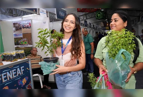 Imagem ilustrativa da imagem Feira de Negócios da Agricultura Familiar destaca a importância da produção local