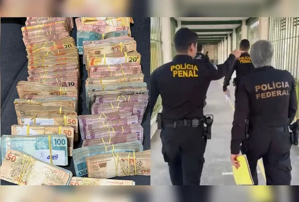 Imagem ilustrativa da imagem PF realiza operação contra tráfico interestadual e lavagem de dinheiro