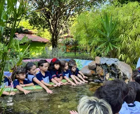 Imagem ilustrativa da imagem Aprender além das salas de aula