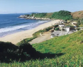 Imagem ilustrativa da imagem Justiça libera retorno do nudismo na Praia do Pinho, a 1ª do Brasil a ter naturismo reconhecido