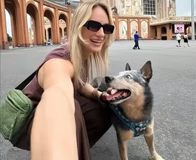 Imagem ilustrativa da imagem Cachorro sobrevive a acidente e fica ao lado de tutora morta no Espírito Santo