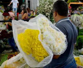 Imagem ilustrativa da imagem Comércio no Recife e RMR terá funcionamento facultativo no feriado de Finados