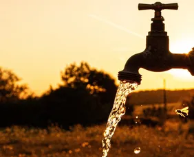 Imagem ilustrativa da imagem Estado decreta emergência em 107 municípios de Pernambuco por causa da estiagem