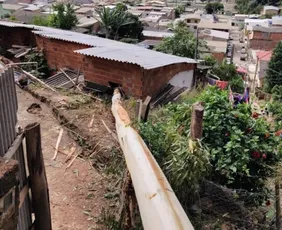 Imagem ilustrativa da imagem Eucalipto de 40 metros cai e atinge casas no ES