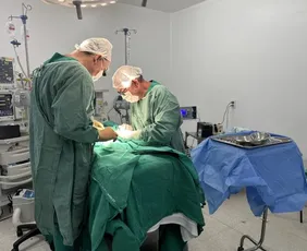 Imagem ilustrativa da imagem Gêmeos siameses recém-nascidos morrem em Goiás após cirurgias