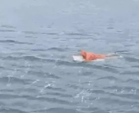 Imagem ilustrativa da imagem Homem agarrado a porta de geladeira é resgatado após naufrágio em SC