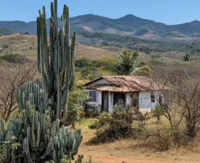 Imagem ilustrativa da imagem Inmet emite alerta de baixa umidade para municípios do Agreste e Sertão de PE