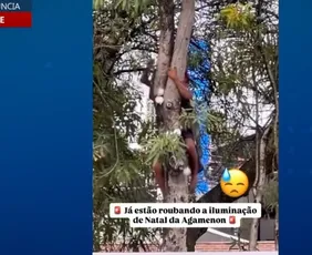 Imagem ilustrativa da imagem Ladrões estão roubando até decoração natalina