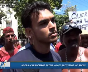 Imagem ilustrativa da imagem Nas ruas do Recife, drama dos carroceiros x pressão dos defensores da causa animal