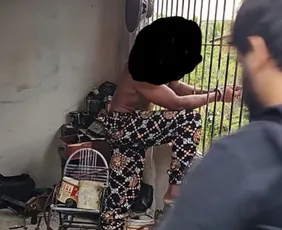 Imagem ilustrativa da imagem Polícia Civil desarticula quadrilha que roubava granjas no Grande Recife