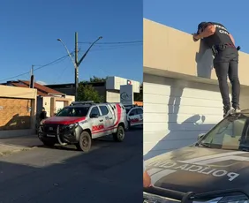 Imagem ilustrativa da imagem Polícia Civil realiza duas operações contra tráfico de drogas e lavagem de dinheiro