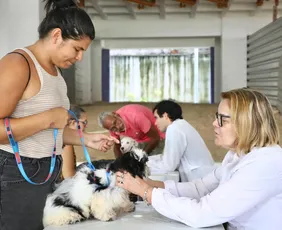 Imagem ilustrativa da imagem Prefeitura do Recife promove dia de vacinação, adoção e atendimento veterinário