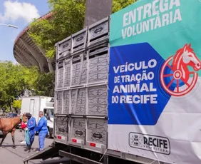 Imagem ilustrativa da imagem Segunda rodada do censo dos carroceiros do Recife termina amanhã (10)