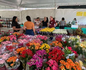 Imagem ilustrativa da imagem Última semana do Festival Flores de Holambra no Recife