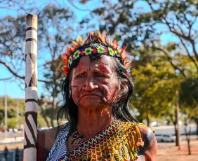 Imagem ilustrativa da imagem Últimos dias para visitar o PEBA, a mostra mais vista da história da Caixa Cultural