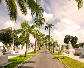 Imagem ilustrativa da imagem Feriadão altera serviços no Grande Recife; confira o que abre e fecha