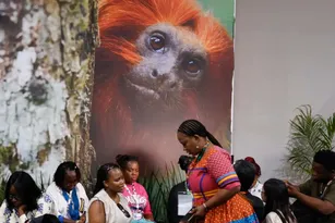 Imagem ilustrativa da imagem COP30: financiamento, transição e adaptação são centro das negociações