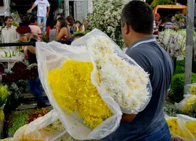 Imagem ilustrativa da imagem Comércio no Recife e RMR terá funcionamento facultativo no feriado de Finados