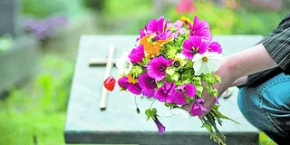 Imagem ilustrativa da imagem Finados: variação do preço de flores chega a 400% em Vitória