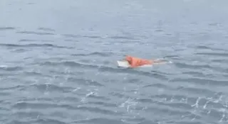 Imagem ilustrativa da imagem Homem agarrado a porta de geladeira é resgatado após naufrágio em SC