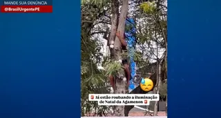 Imagem ilustrativa da imagem Ladrões estão roubando até decoração natalina