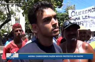 Imagem ilustrativa da imagem Nas ruas do Recife, drama dos carroceiros x pressão dos defensores da causa animal
