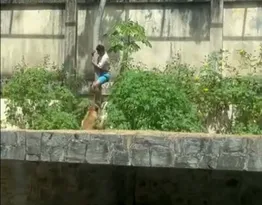 Imagem ilustrativa da imagem O que se sabe sobre o caso do jovem morto em ataque de leoa após invadir jaula de zoológico