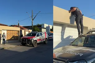 Imagem ilustrativa da imagem Polícia Civil realiza duas operações contra tráfico de drogas e lavagem de dinheiro