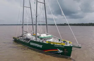 Imagem ilustrativa da imagem Rainbow Warrior chega ao Recife após a COP30 e abre visitação gratuita