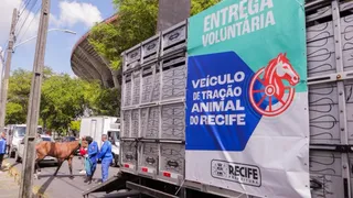 Imagem ilustrativa da imagem Segunda rodada do censo dos carroceiros do Recife termina amanhã (10)