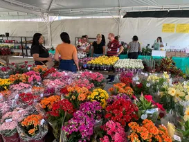 Imagem ilustrativa da imagem Última semana do Festival Flores de Holambra no Recife