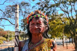 Imagem ilustrativa da imagem Últimos dias para visitar o PEBA, a mostra mais vista da história da Caixa Cultural