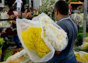 Imagem ilustrativa da imagem Comércio no Recife e RMR terá funcionamento facultativo no feriado de Finados