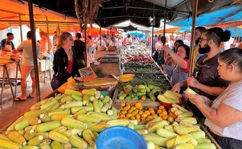 Imagem ilustrativa da imagem Feiras livres de Cariacica têm datas alteradas para o Natal e Ano Novo