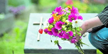 Imagem ilustrativa da imagem Finados: variação do preço de flores chega a 400% em Vitória