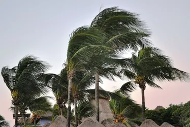 Imagem ilustrativa da imagem 14 municípios capixabas recebem alerta de ventos fortes para este domingo