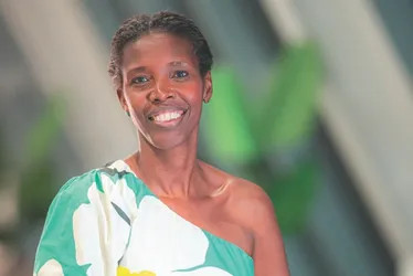 Imagem ilustrativa da imagem A maioria da minoria